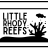 LittleRhodyReefs