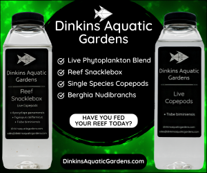 Dinkins Aquatic Gardens