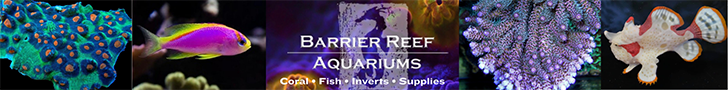 Barrier Reef Aquariums