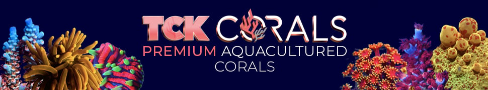 Shop TCK Corals for 100% Aquacultured Corals