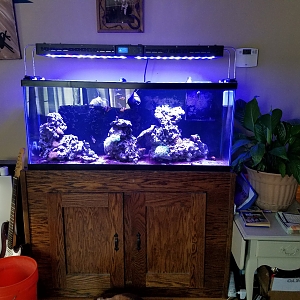 55 gal LPS system