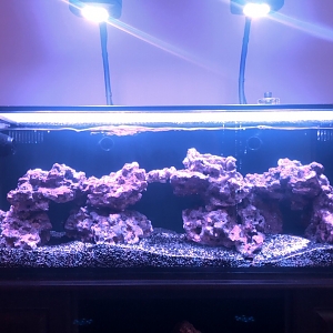 EverAquarium Innovative Marine 30L