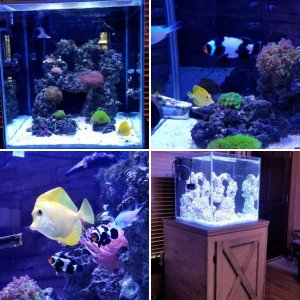 60 Gallon Cube