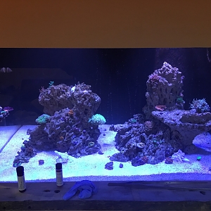 FTS