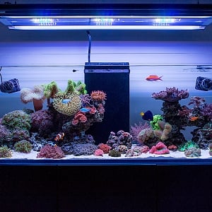 FTS Sept 2016