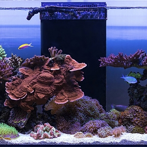 FTS Sept 2017