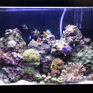 FTS 1 20 18