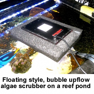 Algae Scrubber 10