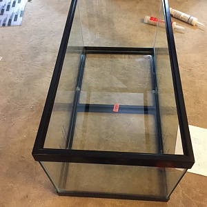 used 40 gallon breeder for sump