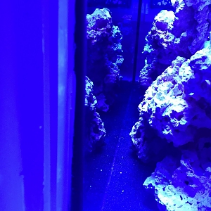 aquascape