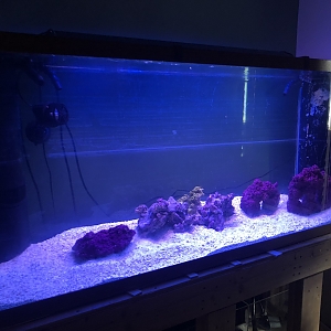 220g Finally Full