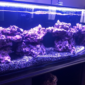 FTS 2-10-19 - Left Side