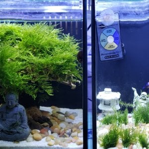 Better than Fluval 2.6