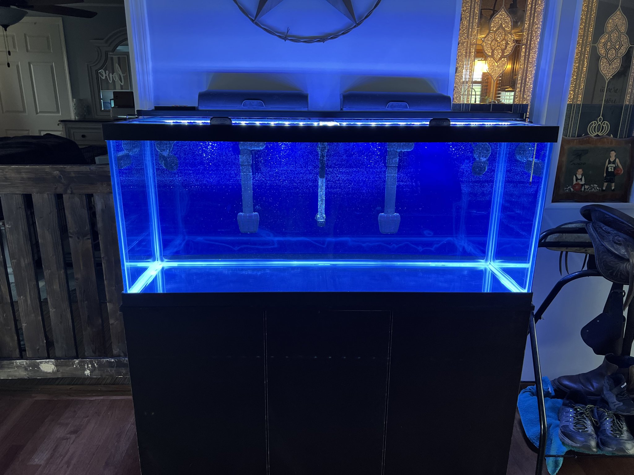 75 Gallon Reef Tank - New Build