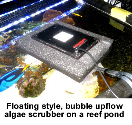 Algae Scrubber 10