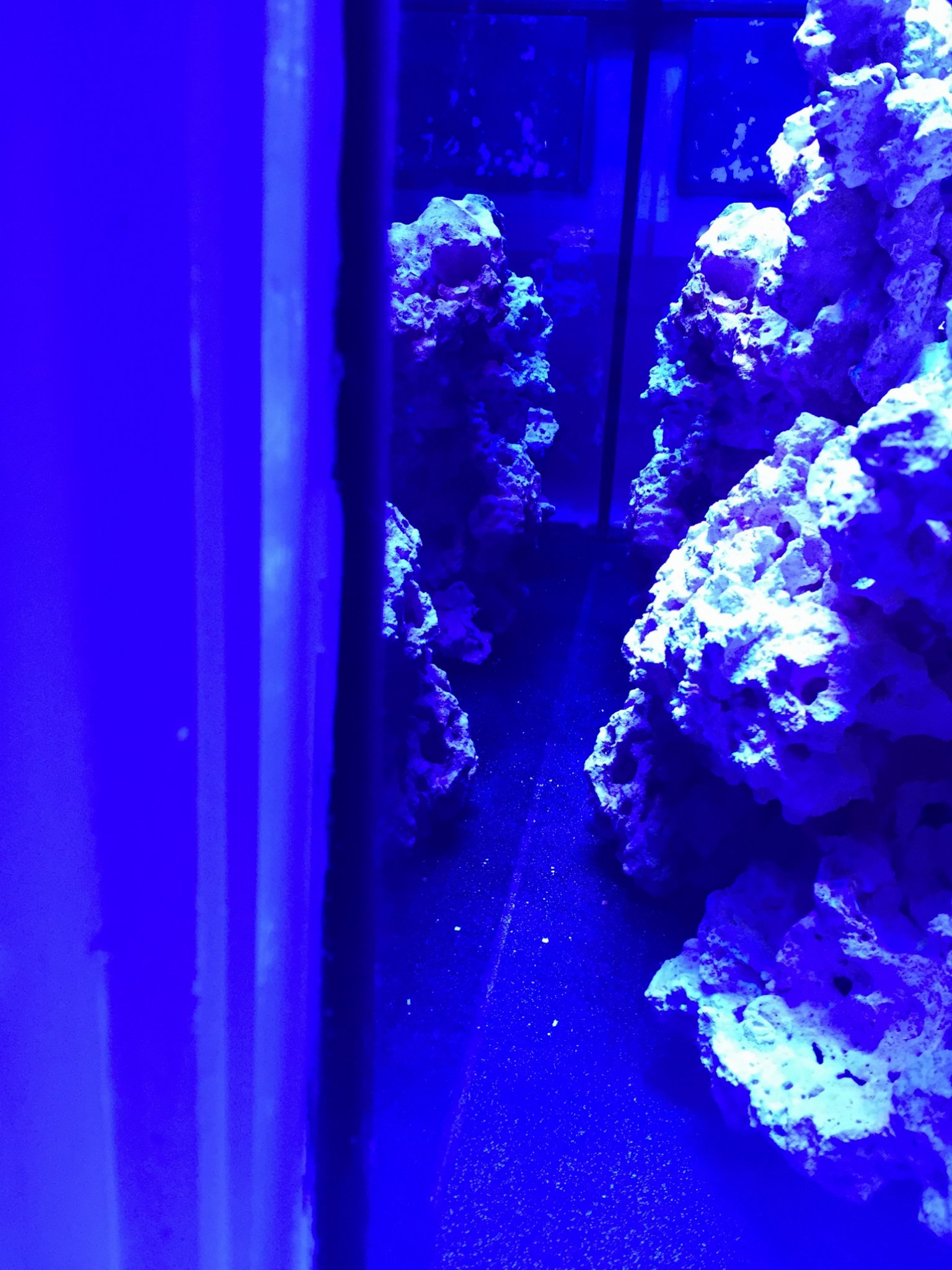 aquascape