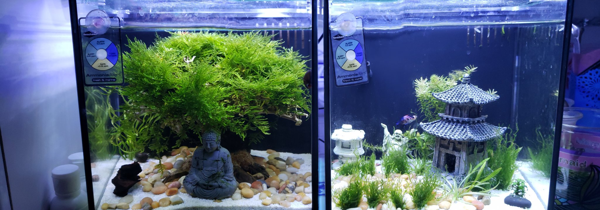 Better than Fluval 2.6