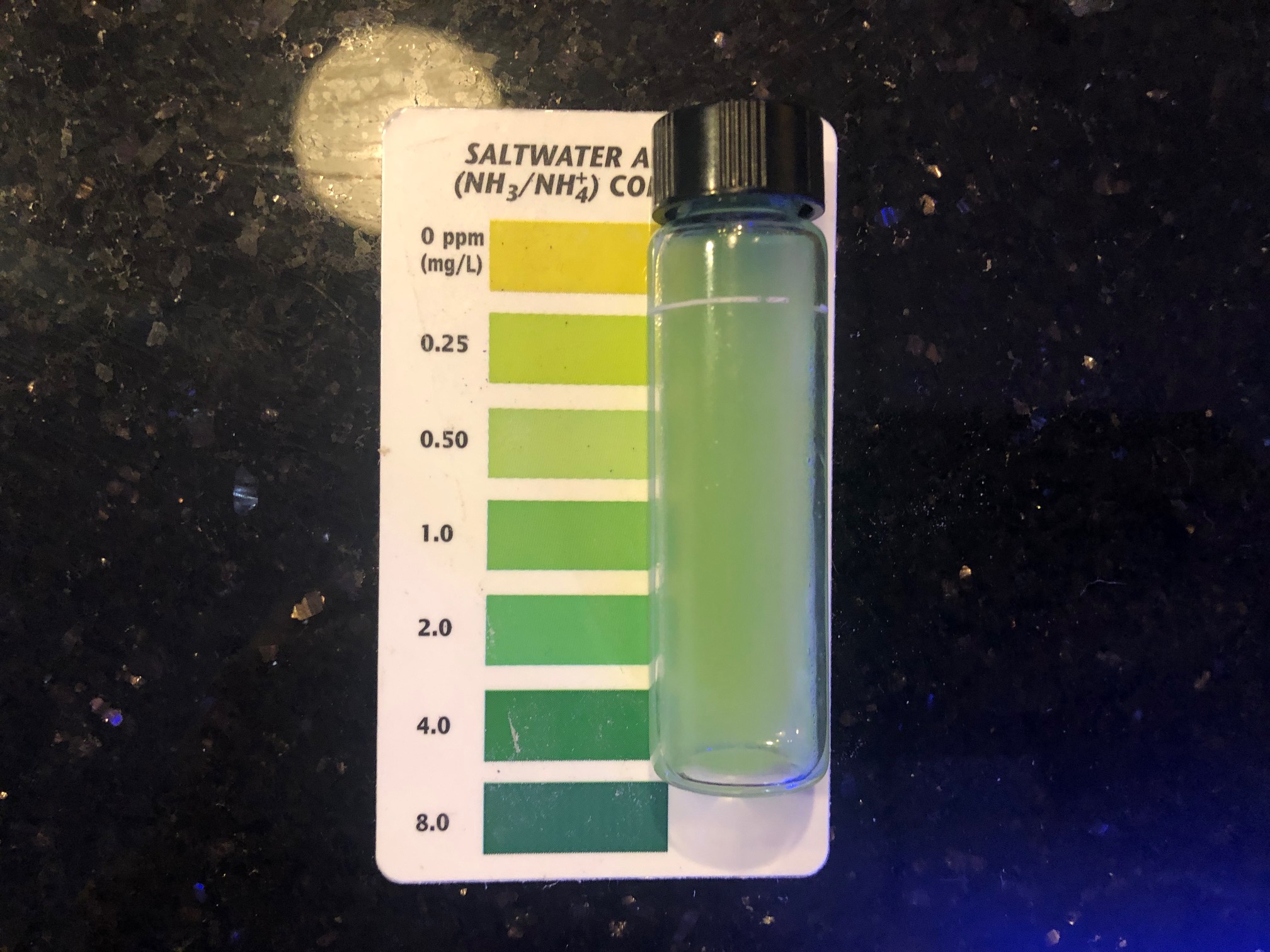 Cycle Day 1 Ammonia