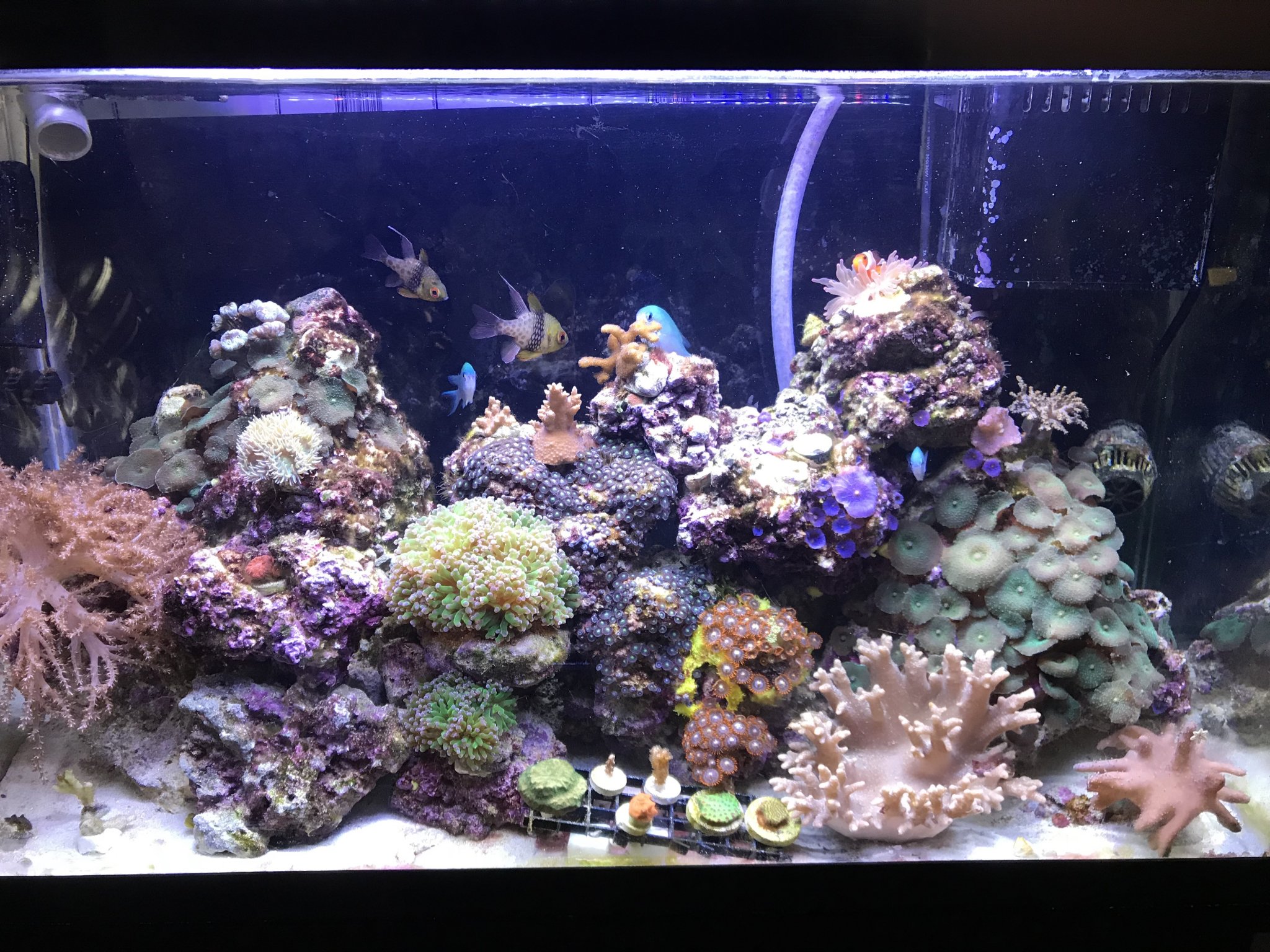 FTS 1 20 18