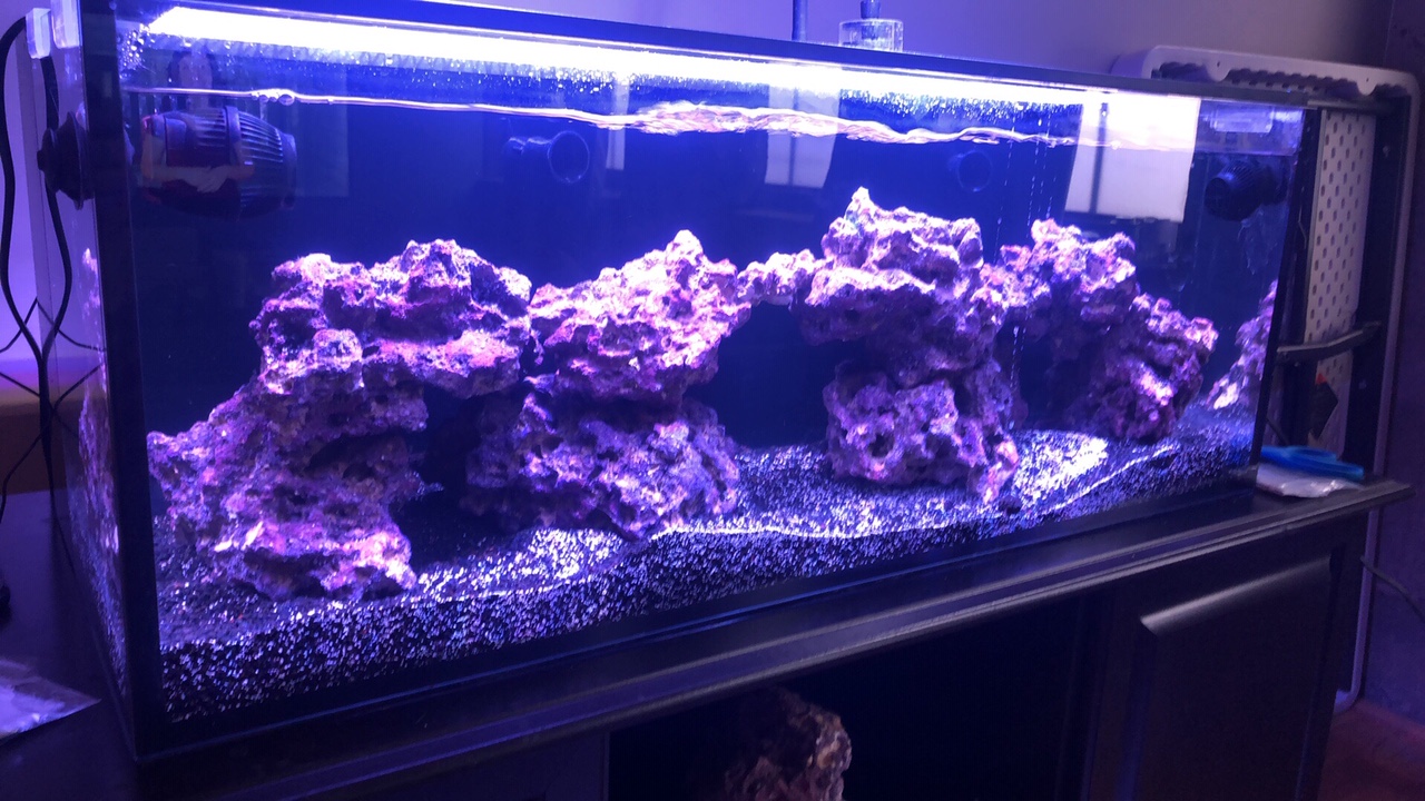 FTS 2-10-19 - Left Side