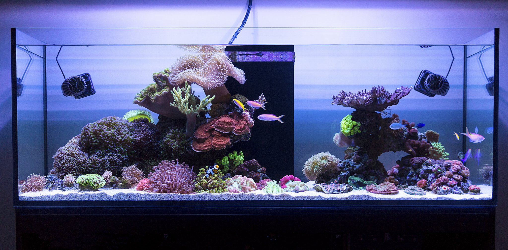 FTS Feb 2017