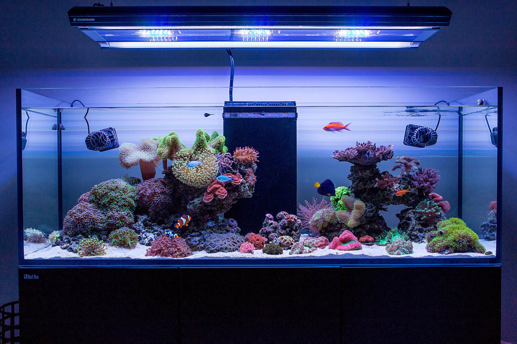 FTS Sept 2016