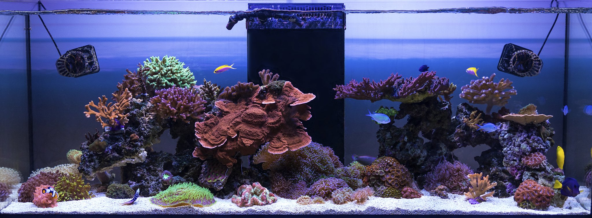 FTS Sept 2017