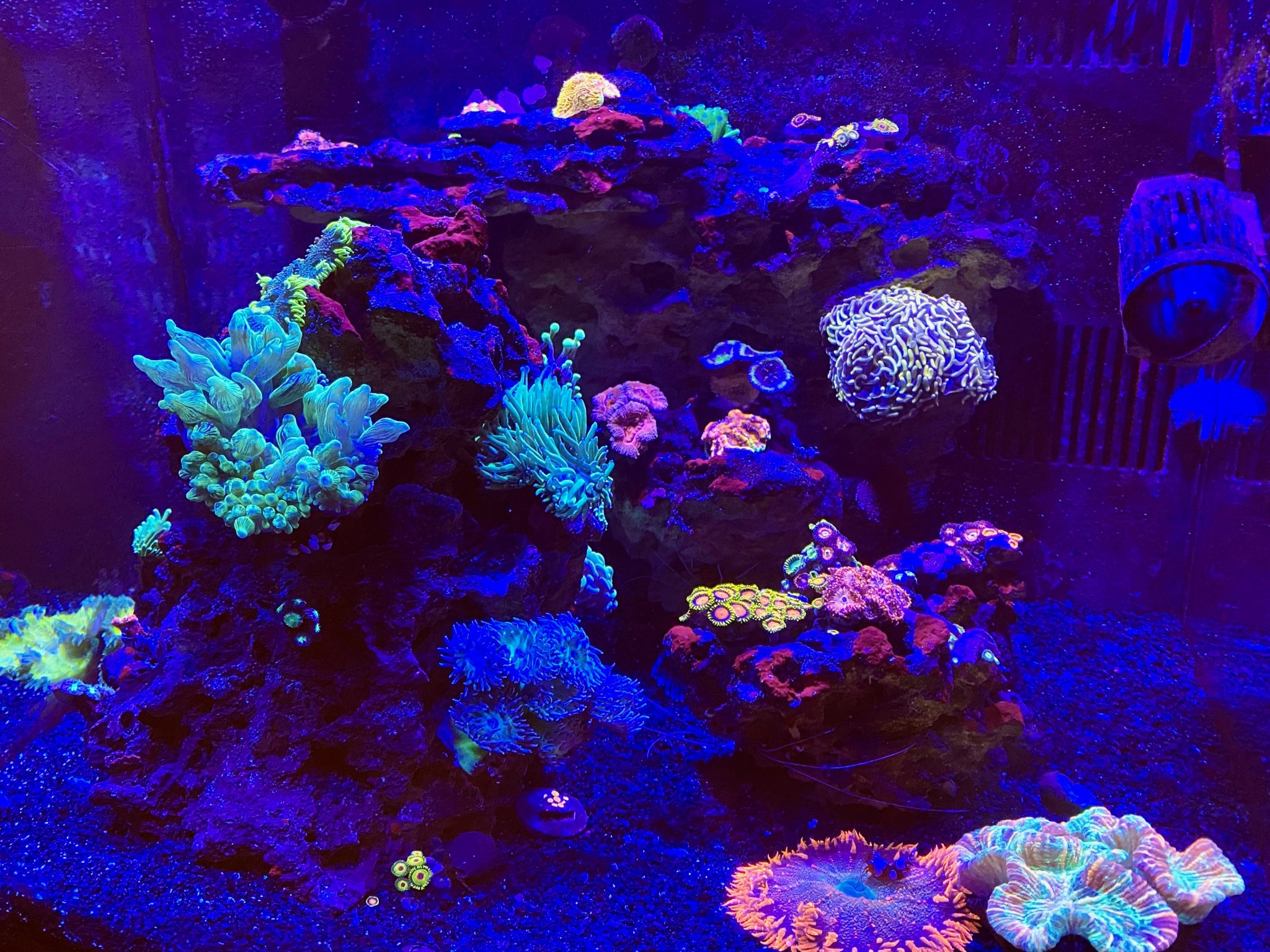 Full Tank Shot