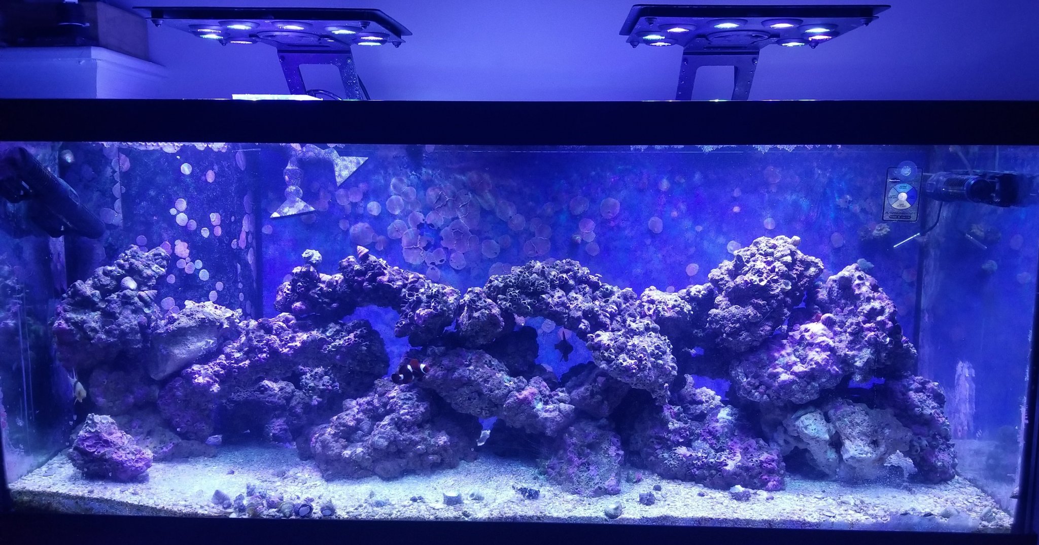 Tank Feb 2019