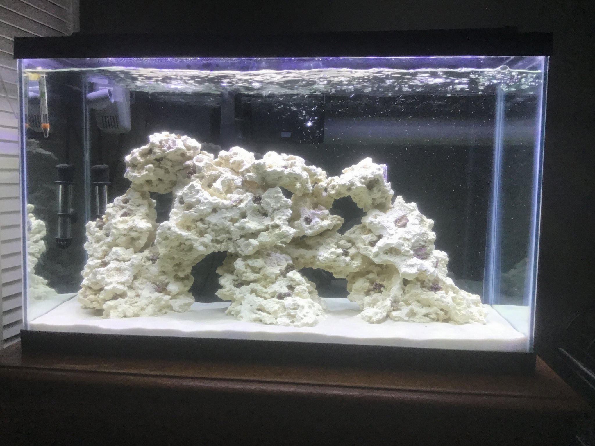 The 29 gallon Saltwater Tank Image