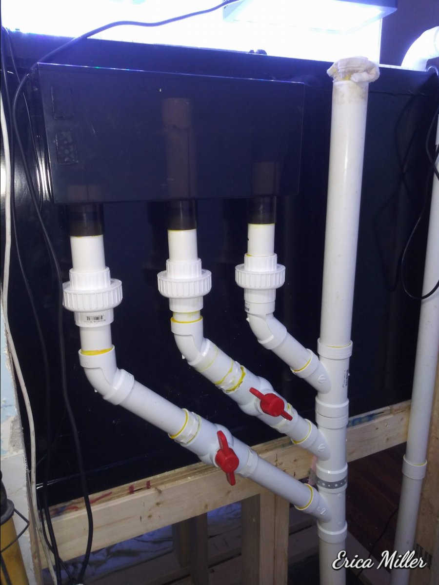 new-tank-plumbing-to-basement-jpg.874146