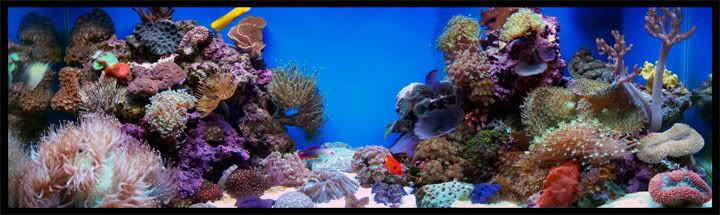 tank-panoramic-view.jpg