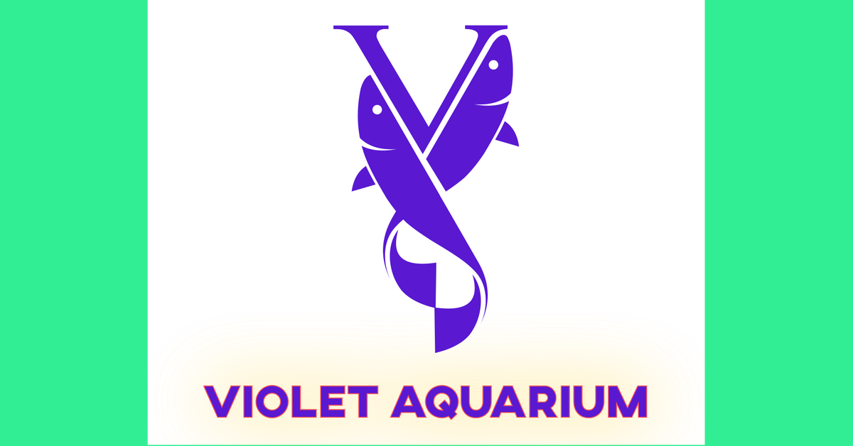 violet-sea-fish-and-coral.myshopify.com