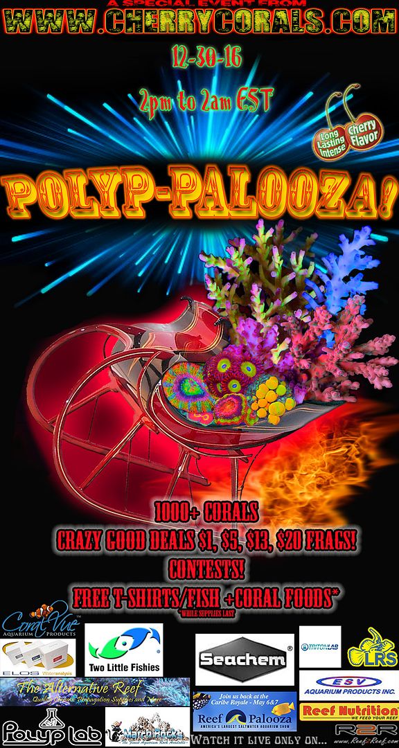 Polyppalooza2016a.jpg~original