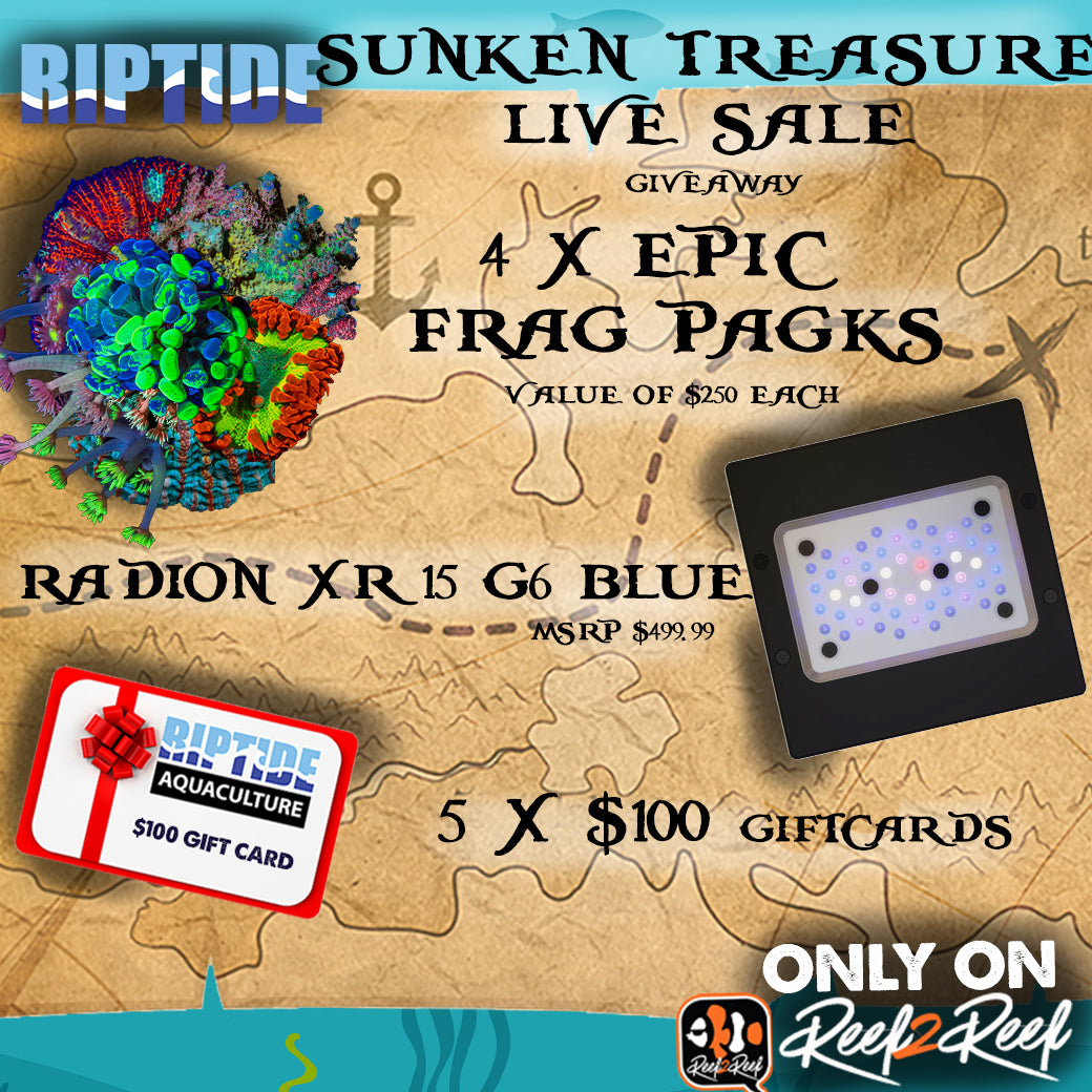 sunkin_treasure_giveaway.jpg