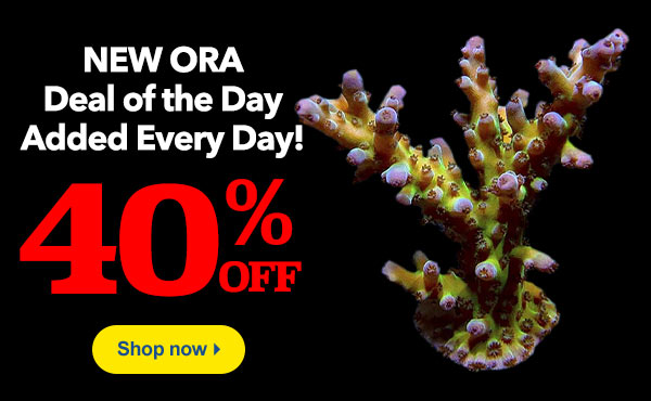 ORA Daily Deal