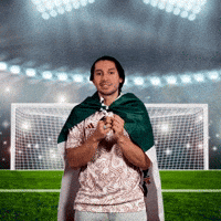 Vamos Lets Go GIF by World Cup