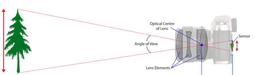 image formation in a digital camera - ratio.JPG