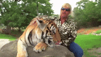 Tiger-king GIFs - Get the best GIF on GIPHY