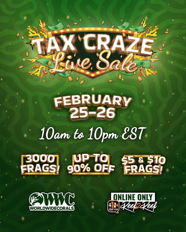 TAX_CRAZE_2023_1080x1350_insta%20copy.jpg