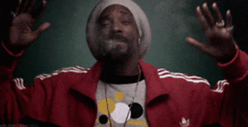 Snoop Dogg Smoke Weed Everyday - Collectibles action | OpenSea