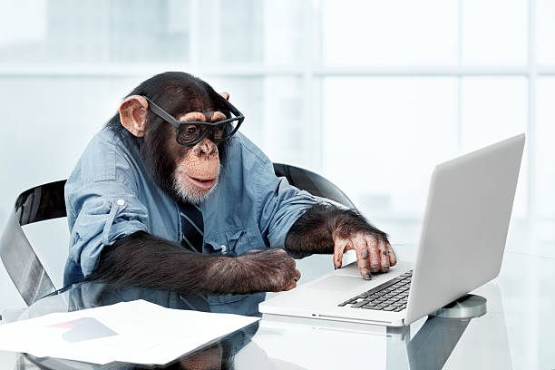 male-chimpanzee-in-business-clothes-picture-id143921954