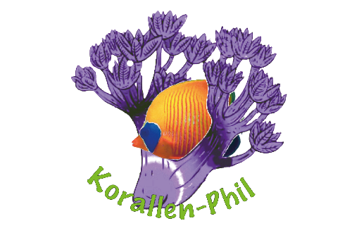 korallen-phil.ch