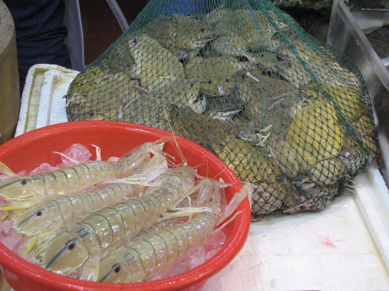 A tub of mantis shrimp, a cross between prawns and lobsters.