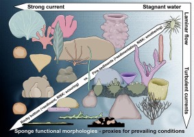 www.sciencedirect.com