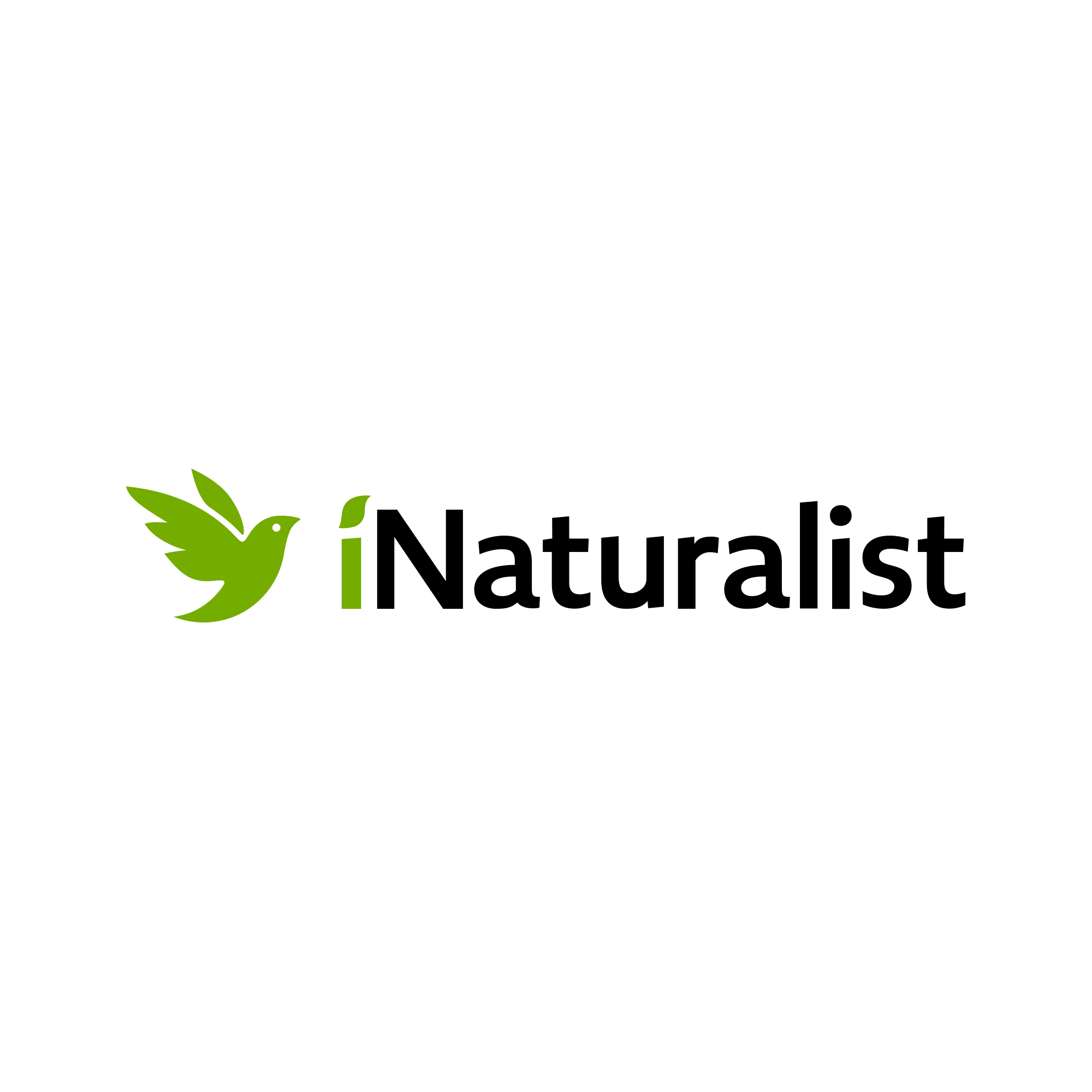 www.inaturalist.org