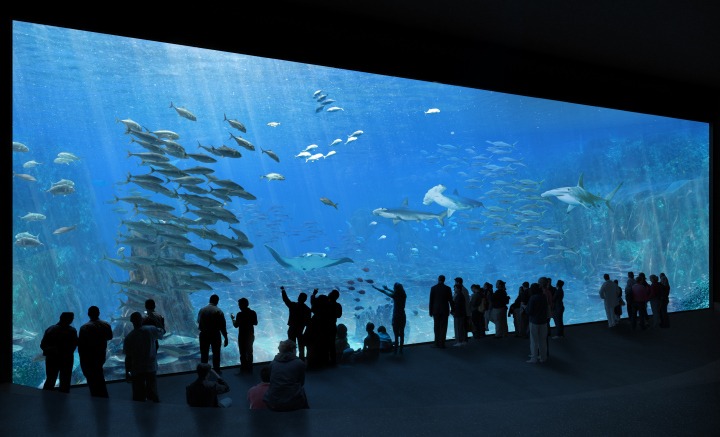 Orphek-public-aquarium.jpg