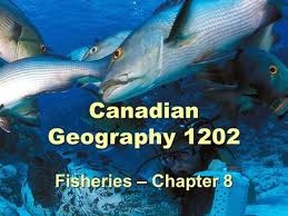 1 Canadian Geography 1202 Fisheries – Chapter 8. 2 Fisheries (Chapter 8)   Renewable resources: Resources that are normally replaced or replenished  through. - ppt download