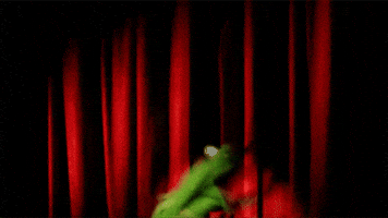 Happy Kermit The Frog GIF