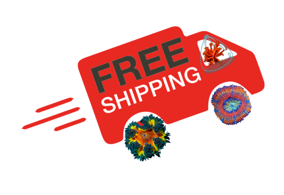 Coralmobile free shipping.png